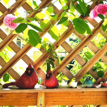 Colorful 50'S Ranch In The Heart Of Eugene Villa Bagian luar foto