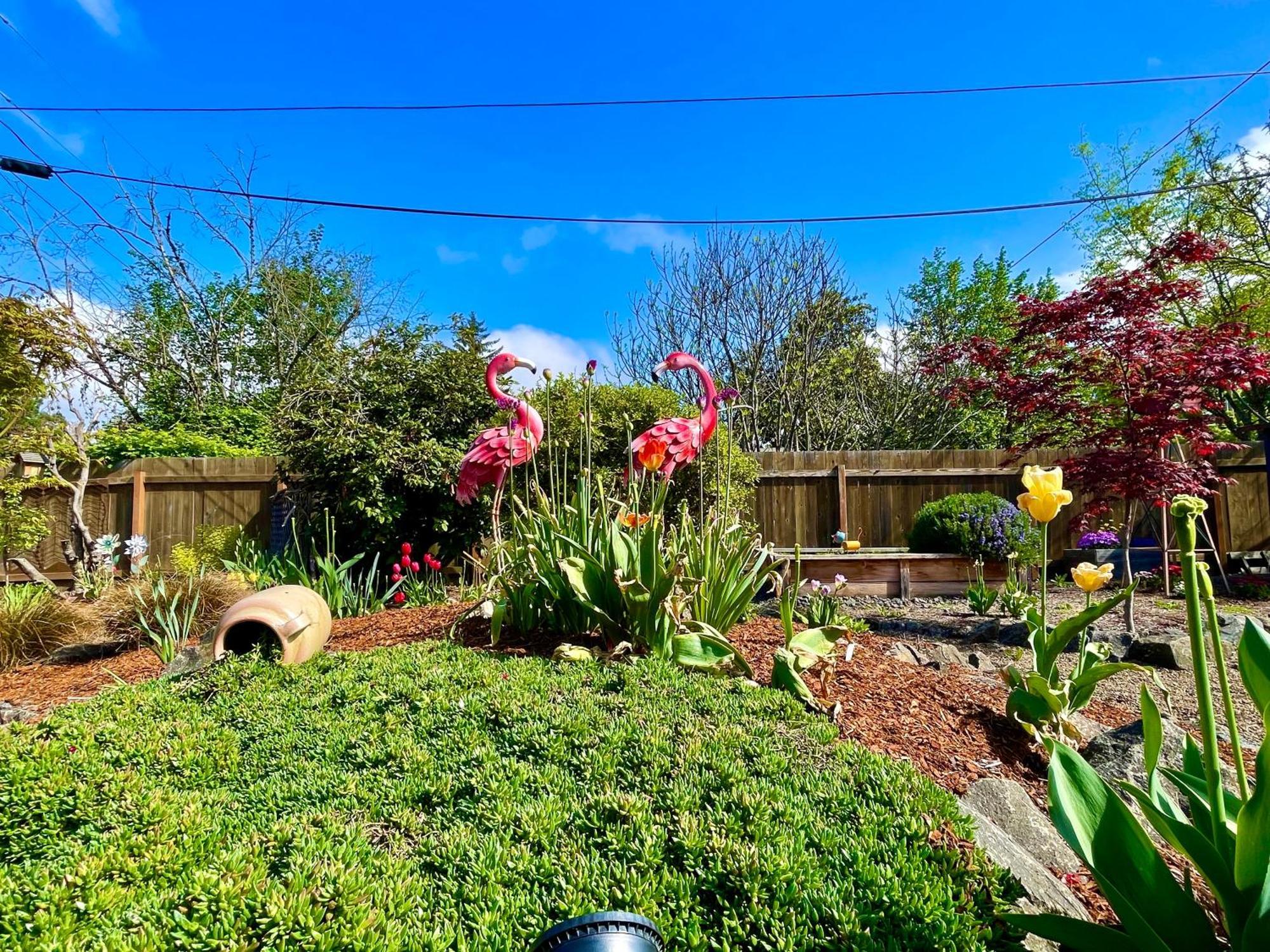 Colorful 50'S Ranch In The Heart Of Eugene Villa Bagian luar foto