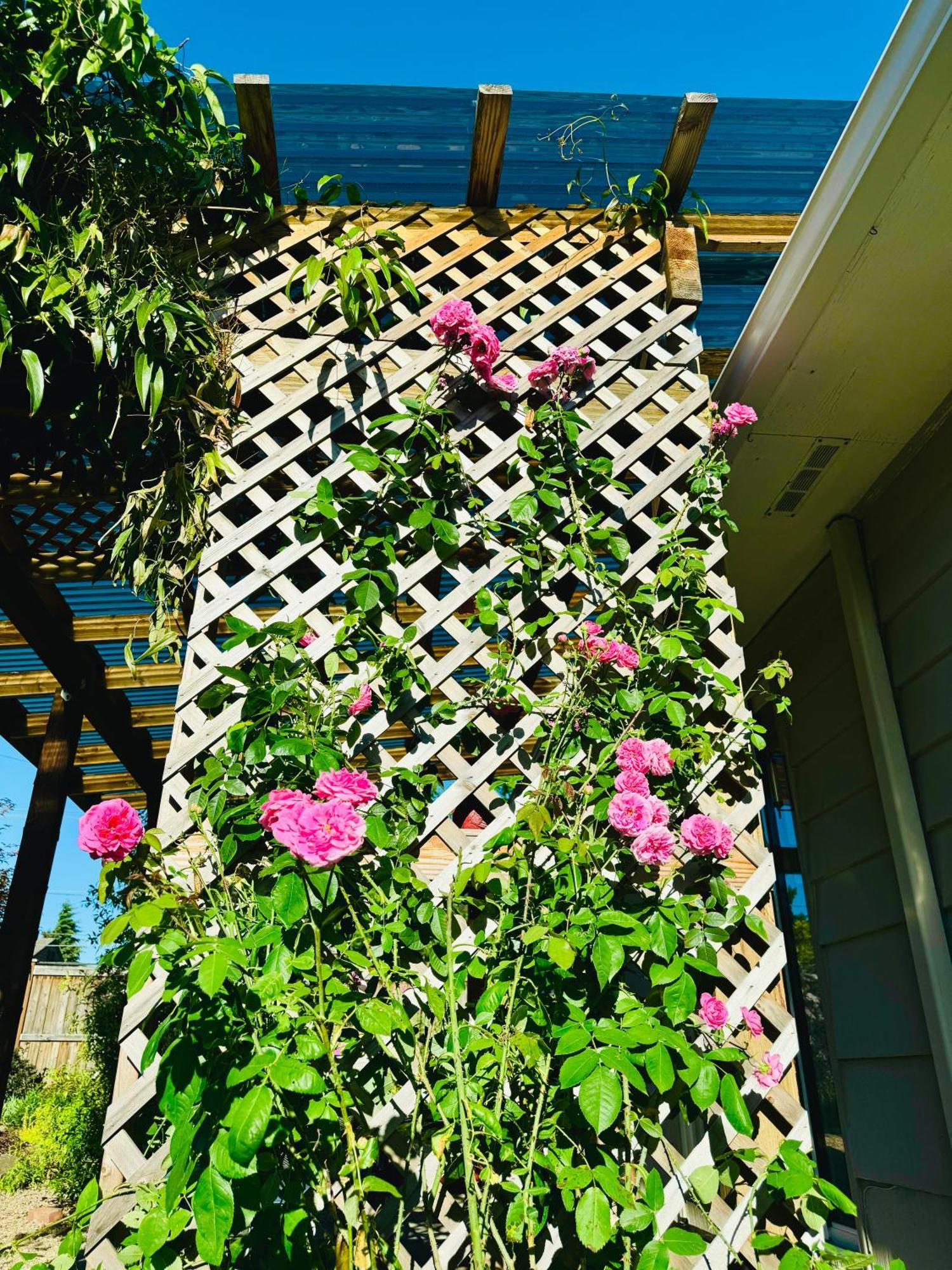 Colorful 50'S Ranch In The Heart Of Eugene Villa Bagian luar foto